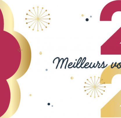 Bonne année 2025